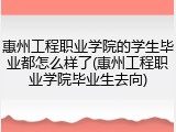 惠州工程职业学院的学生毕业都怎么样了(惠州工程职业学院毕业生去向)
