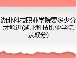 湖北科技职业学院要多少分才能进(湖北科技职业学院录取分)