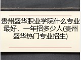 贵州盛华职业学院什么专业最好，一年招多少人(贵州盛华热门专业招生)