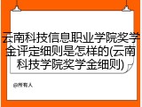 云南科技信息职业学院奖学金评定细则是怎样的(云南科技学院奖学金细则)