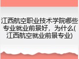江西航空职业技术学院哪些专业就业前景好，为什么(江西航空就业前景专业)