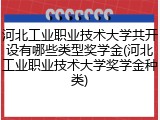 河北工业职业技术大学共开设有哪些类型奖学金(河北工业职业技术大学奖学金种类)