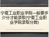 宁夏工业职业学院一般要多少分才能录取(宁夏工业职业学院录取分数)