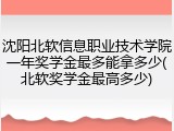 沈阳北软信息职业技术学院一年奖学金最多能拿多少(北软奖学金最高多少)
