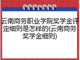 云南商务职业学院奖学金评定细则是怎样的(云南商务奖学金细则)