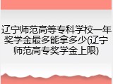 辽宁师范高等专科学校一年奖学金最多能拿多少(辽宁师范高专奖学金上限)
