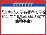 河北科技大学有哪些奖学金和助学金呢(河北科大奖学金助学金)