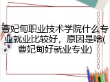 曹妃甸职业技术学院什么专业就业比较好，原因是啥(曹妃甸好就业专业)