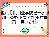 重庆电讯职业学院是什么级别，公办还是民办(重庆电讯：民办专科)