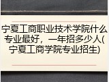 宁夏工商职业技术学院什么专业最好，一年招多少人(宁夏工商学院专业招生)