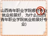 山西青年职业学院哪些专业就业前景好，为什么(山西青年职业学院就业前景好专业)
