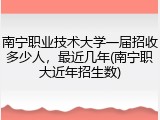 南宁职业技术大学一届招收多少人，最近几年(南宁职大近年招生数)