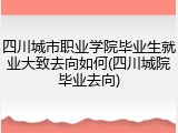 四川城市职业学院毕业生就业大致去向如何(四川城院毕业去向)
