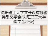 沈阳理工大学共开设有哪些类型奖学金(沈阳理工大学奖学金种类)