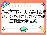 辽宁理工职业大学是什么级别，公办还是民办(辽宁理工职业大学性质)