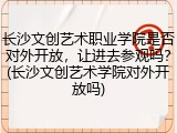 长沙文创艺术职业学院是否对外开放，让进去参观吗？(长沙文创艺术学院对外开放吗)