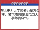 东北电力大学师资力量怎么样，名气如何(东北电力大学师资名气)