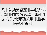 河北劳动关系职业学院毕业后就业前景怎么样，毕业生去向(河北劳动关系职业学院就业去向)