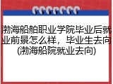渤海船舶职业学院毕业后就业前景怎么样，毕业生去向(渤海船院就业去向)
