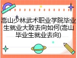 嵩山少林武术职业学院毕业生就业大致去向如何(嵩山毕业生就业去向)