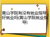 黄山学院有没有就业指导，好就业吗(黄山学院就业指导)