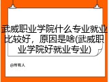 武威职业学院什么专业就业比较好，原因是啥(武威职业学院好就业专业)
