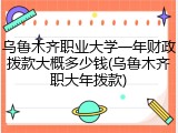 乌鲁木齐职业大学一年财政拨款大概多少钱(乌鲁木齐职大年拨款)