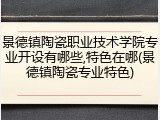 景德镇陶瓷职业技术学院专业开设有哪些,特色在哪(景德镇陶瓷专业特色)