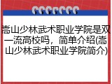 嵩山少林武术职业学院是双一流高校吗，简单介绍(嵩山少林武术职业学院简介)