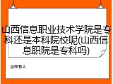 山西信息职业技术学院是专科还是本科院校呢(山西信息职院是专科吗)