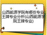 山西能源学院有哪些专业，王牌专业分析(山西能源学院王牌专业)