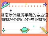湖南涉外经济学院的专业设置概况介绍(涉外专业概览)