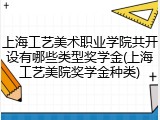 上海工艺美术职业学院共开设有哪些类型奖学金(上海工艺美院奖学金种类)