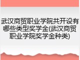 武汉商贸职业学院共开设有哪些类型奖学金(武汉商贸职业学院奖学金种类)