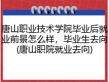 唐山职业技术学院毕业后就业前景怎么样，毕业生去向(唐山职院就业去向)