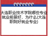 大连职业技术学院哪些专业就业前景好，为什么(大连职院好就业专业)