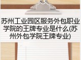 苏州工业园区服务外包职业学院的王牌专业是什么(苏州外包学院王牌专业)