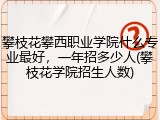 攀枝花攀西职业学院什么专业最好，一年招多少人(攀枝花学院招生人数)
