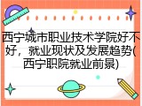 西宁城市职业技术学院好不好，就业现状及发展趋势(西宁职院就业前景)