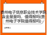 贵州电子信息职业技术学院含金量量吗，值得报吗(贵州电子学院值得报吗)