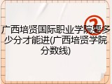 广西培贤国际职业学院要多少分才能进(广西培贤学院分数线)