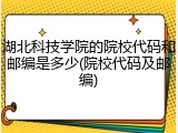 湖北科技学院的院校代码和邮编是多少(院校代码及邮编)