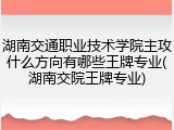 湖南交通职业技术学院主攻什么方向有哪些王牌专业(湖南交院王牌专业)