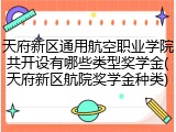天府新区通用航空职业学院共开设有哪些类型奖学金(天府新区航院奖学金种类)