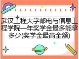 武汉工程大学邮电与信息工程学院一年奖学金最多能拿多少(奖学金最高金额)