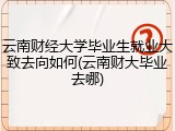 云南财经大学毕业生就业大致去向如何(云南财大毕业去哪)