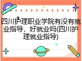四川护理职业学院有没有就业指导，好就业吗(四川护理就业指导)