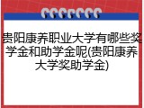 贵阳康养职业大学有哪些奖学金和助学金呢(贵阳康养大学奖助学金)