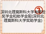 深圳北理莫斯科大学有哪些奖学金和助学金呢(深圳北理莫斯科大学奖助学金)