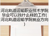 河北轨道运输职业技术学院毕业可以找什么样的工作(河北轨道运输学院就业方向)